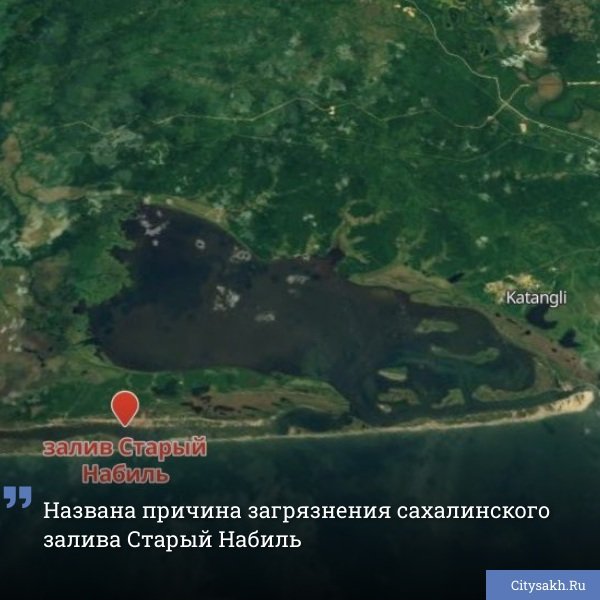 По предварительной информации, источником загрязнения акватории залива на Сахалине стали заброшенные трубопроводы.