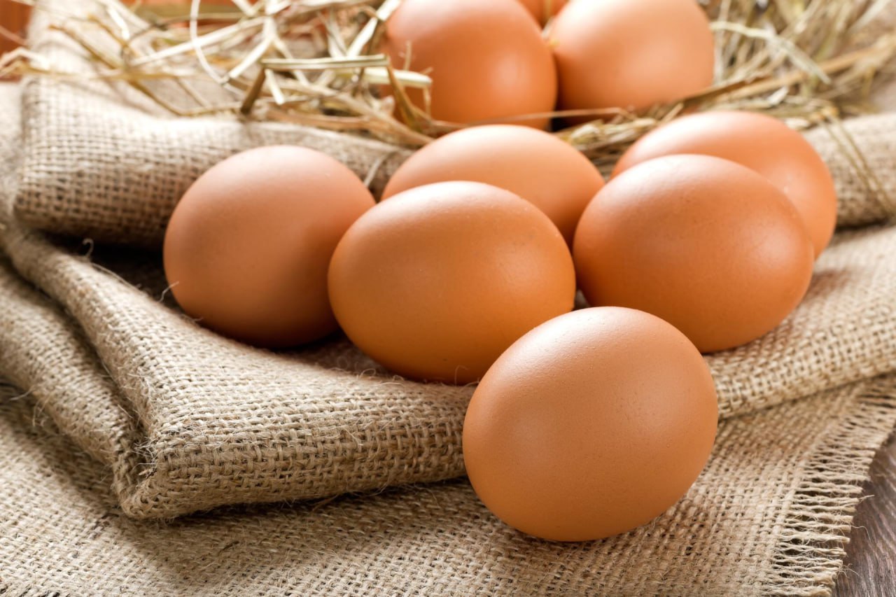 Производство продукции животноводства в ЛНР в 1 квартале В республике по итогам I квартала 2025 г произведено: скота и птицы в живом весе – 5,5 тыс. тонн; молока – 1,8 тыс. тонн; яиц – 59,1 млн шт.