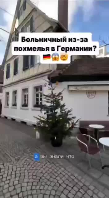 В Германии похмелье признано законным основанием для больничного