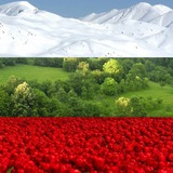 Аватар Телеграм канала: Болгария: жизнь, новости и соседи
