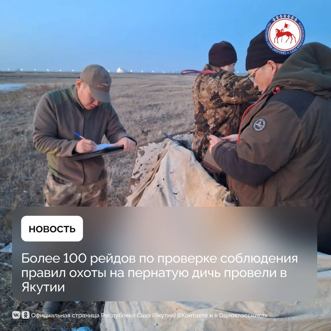За первую половину мая в Якутии провели 107 рейдовых мероприятий по проверке правил охоты на пернатую дичь. Выезды осуществляются государственными инспекторами Министерства экологии, природопользования и лесного хозяйства республики, Дирекции биологических ресурсов, особо охраняемых природных территорий и природных парков, сотрудниками МВД, Управления Росгвардии, Главного управления МЧС. В ходе рейдов проведено 1 324 инструктажа по соблюдению правил охоты и пожарной безопасности в лесах с охватом 1 345 человек. В весенний период охота производится из укрытия, кроме охоты на самцов глухарей на току с подхода. Запрещена охота на самок уток, глухарей и тетеревов. Незаконная добыча самок в зависимости от нанесённого ущерба и способа добычи влечёт административную и уголовную ответственность. #ПравительствоЯкутии