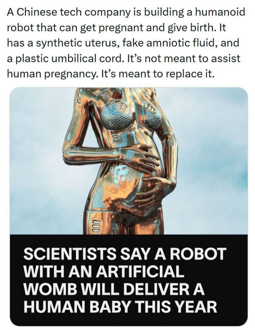 В Китае разрабатывается гуманоидный робот обладающий синтетической маткой искусственными околоплодными водами и пуповиной По словам создателей основная цель этого проекта заключается не в оказании помощи женщинам а в полной замене человека в процессе репродукции made sense