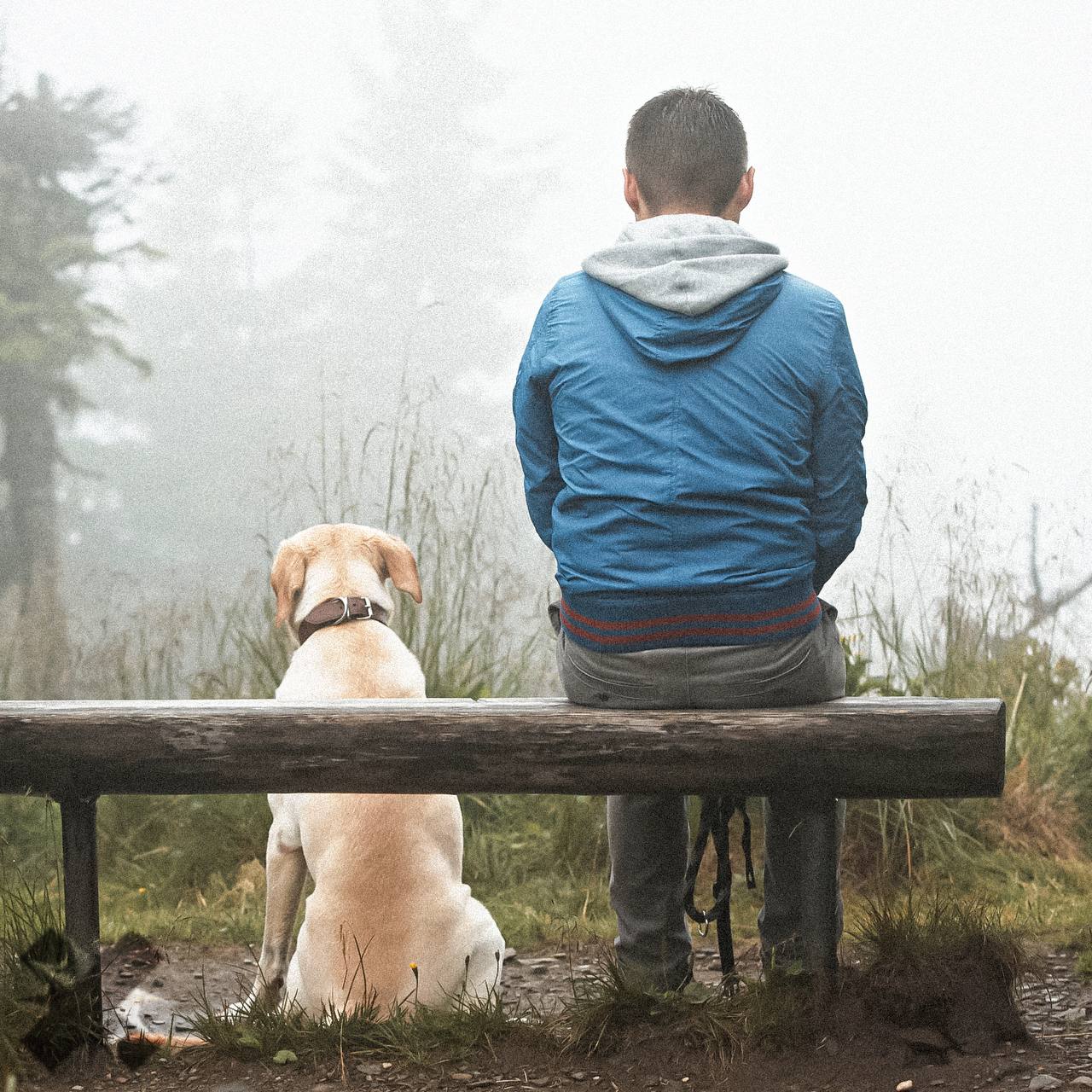 У питомцев растут проблемы с сердцем из за стрессов их хозяев Ветеринары отмечают у кошек и собак всё чаще возникают сердечные приступы жалоб стало на 15 больше Всё потому что животные перенимают стресс хозяев крики ссоры и эмоциональное выгорание кожаных вызывают у них сужение сосудов и риски ишемии В группе риска мейн куны рэгдоллы британцы лабрадоры ретриверы овчарки и особенно доберманы Тревожные симптомы одышка слабость рвота Рекомендуем водить на УЗИ сердца своего пушистика в 6 месяцев год и дальше по показаниям И главное спокойный дом здоровый питомец   пусть все пушистики будут здоровы НМШ