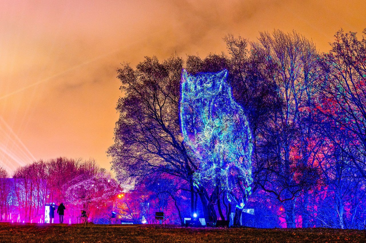 Зима в Москве на Воробьевых горах можно увидеть световые проекции уникальных животных со всей России Фасад главного здания Дворца пионеров превратится в сцену мультимедийного представления свет звук и проекции объединятся в праздничные сюжеты ул Косыгина 17 Легендарная Москва