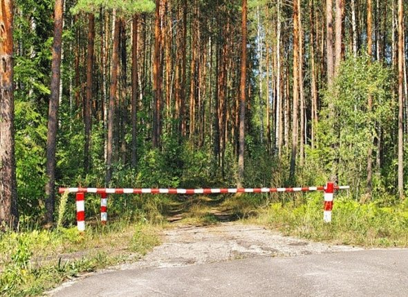 Особый противопожарный режим введут на севере Иркутской области с 31 мая На территориях усилят федеральный государственный пожарный надзор Читать подробнее на сайте...