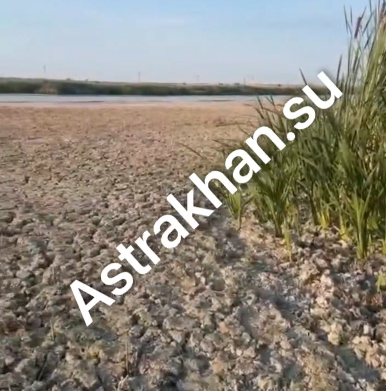 Астраханской области не хватает денег на обводнение западных подстепных ильменей  Проблема с пересыханием западных подстепных ильменей  ЗПИ  в Астраханской области не теряет своей актуальности, так как подавать воду в жизненно важные объекты региональное правительство не торопится. И этому, как выяснилось, есть объяснение.    Видео тут: