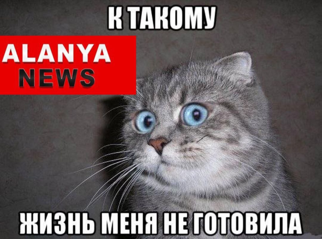 Теперь за 750 TL в счёте за свет — не свет в конце тоннеля, а реальный финансовый обморок!  С 1 января 2026 года вступает в силу новая реформа:  Субсидируемый лимит на электроэнергию снижен с 5000 до 3000 кВт⋅ч в год.   Что это значит по-простому? Если ваш счёт превышает 750 TL — забудьте о господдержке. Теперь будете платить по полной.  Например:  было 800 TL — стало 1600 TL.  Без магии, только новые правила.  Так что готовим вентиляторы, берём А++ технику и выключаем всё лишнее. Иначе лето станет не только жарким, но и дорогим. Особенно это коснётся тех, кто живёт с кондиционером на «ты». Источник  А у вас как с электричеством?    —Укладываемся в лимит, выживаем    —Уже готовлюсь к шок-счетам    —Климат — важнее бюджета. Зарабатывать надо больше.    —Пока не понял а , что происходит.  #новостиТурции #Турция2025 #новостиАланьи #newsAlanya #коммунальные2025 #юмор #шокЦены       Новости Аланьи   Alanya News