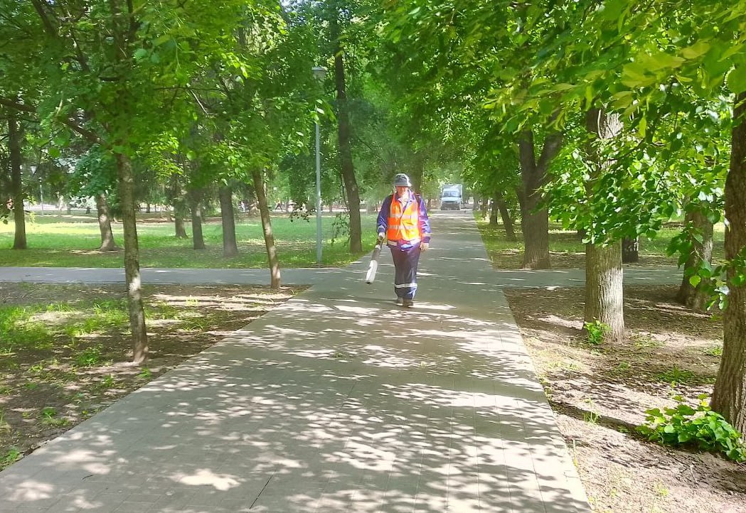 В парках и скверах активно проводятся работы по уборке территорий. На улицах работают 42 сотрудника подрядных организаций и 11 специализированных машин. Специалисты занимаются уборкой мусора и благоустройством газонов. В комитете городского хозяйства сообщили, что особое внимание уделяется зелёным зонам, пешеходным дорожкам и спортивным площадкам. Эти территории должны всегда содержаться в чистоте и порядке.