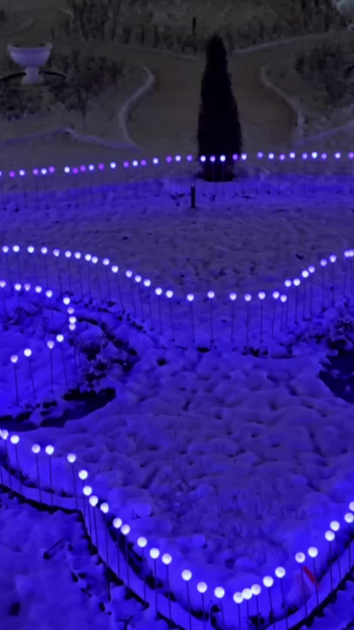 Открытие катка на ВДНХ запланировано на 25 ноября