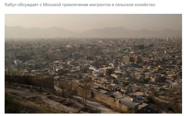 Талибы предложили российским властям привлекать трудовых мигрантов из Афганистана к работам в сельском хозяйстве Пока мы предложили рабочих в сфере сельского хозяйства но надеемся что если получится договориться то и в других сферах тоже будем работать заявил посол страны в России Хассан Гулл Хассан jkinvest news jkinvest