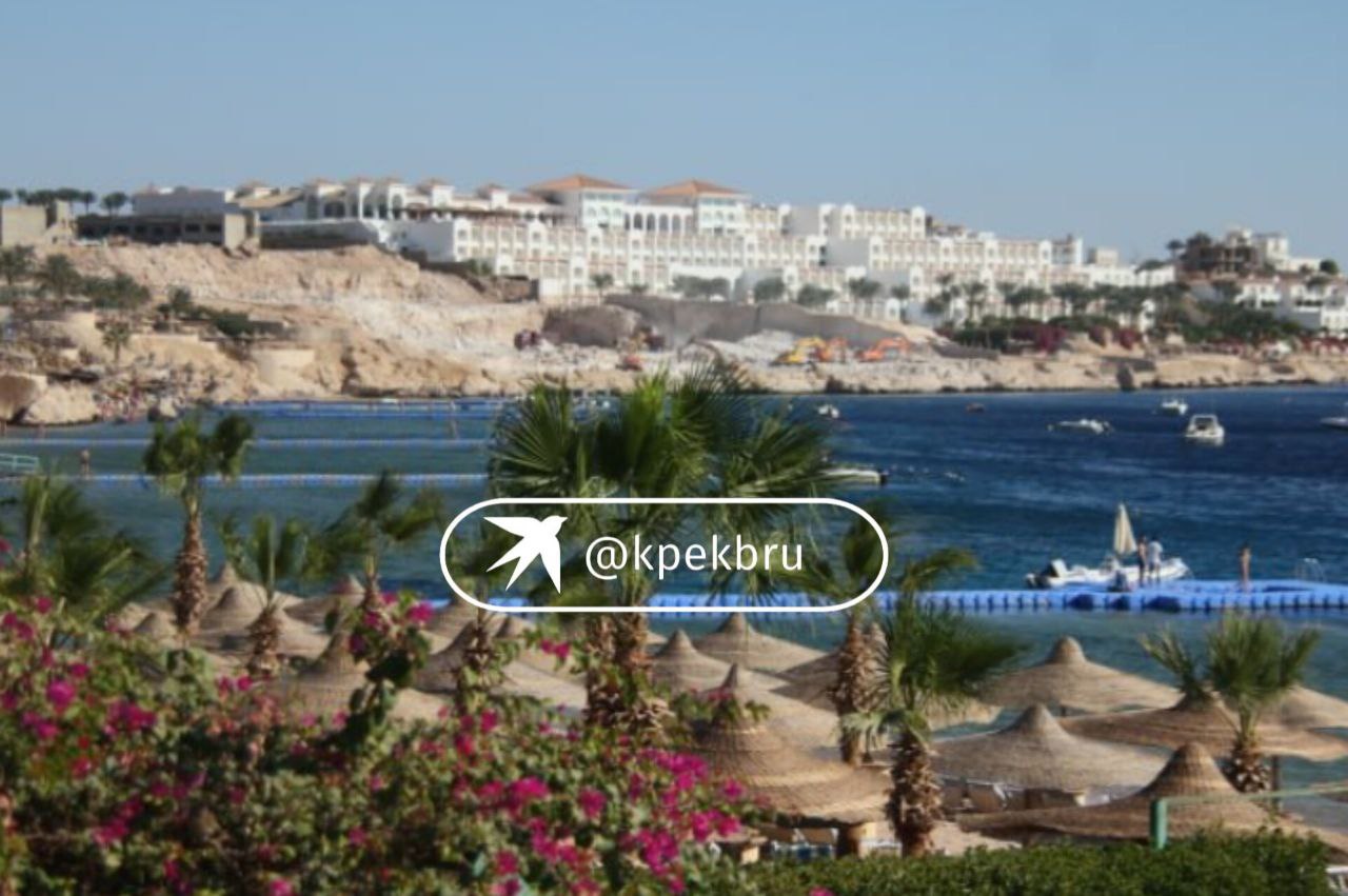 В Египте пропали двое туристов из Екатеринбурга Как стало известно КП Екатеринбург Владислав Ревенко и Никита Таланов перестали выходить на связь 26 января По словам отца Павла Ревенко отца Владислава туристы прилетели из Екатеринбурга в Шарм эш Шейх 21 января и должны были вернуться через шесть дней Поехали по турпутевке в Египет в Шарм эль Шейх Самостоятельно сели на автобус Поехали в Каир Оттуда отзвонились сказали что все хорошо Но с 26 января перестали выходить на связь говорит Павел Ревенко В авиакомпании сообщили что они не явились на обратный рейс   Подпишись на КП Екатеринбург Мы в Max