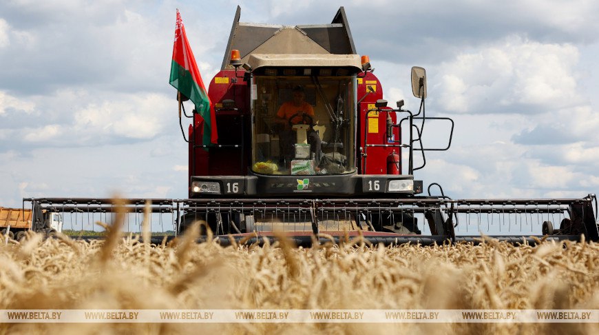 Вы справитесь с любыми задачами Александр Лукашенко поздравил работников АПК с профессиональным праздником Этот год выдался экстремально сложным из за погодных катаклизмов Но благодаря вашим профессионализму усердию и рачительному отношению к родной земле в стране собран рекордный урожай зерновых зернобобовых и рапса более 11 млн т отметил Александр Лукашенко Глава государства подчеркнул что стабильная работа всех звеньев АПК позволила выполнить государственный заказ по поставкам зерна заложить семенной фонд заготовить нужный объем фуража для животноводства собрать достойный урожай технических культур загрузить мощности перерабатывающих предприятий Полностью обеспечена продовольственная безопасность страны растет экспортный потенциал Такой высокий результат стал возможным благодаря труду тысяч людей для которых земля источник вдохновения и силы говорится в поздравлении Убежден что вы справитесь с любыми задачами стоящими перед сельским хозяйством и мы еще не раз будем гордиться вашими успехами Президент пожелал работникам сельского хозяйства и перерабатывающей промышленности крепкого здоровья счастья и новых свершений во благо любимой Беларуси Поддержать канал бустами Inst TikTok ВК OK FB