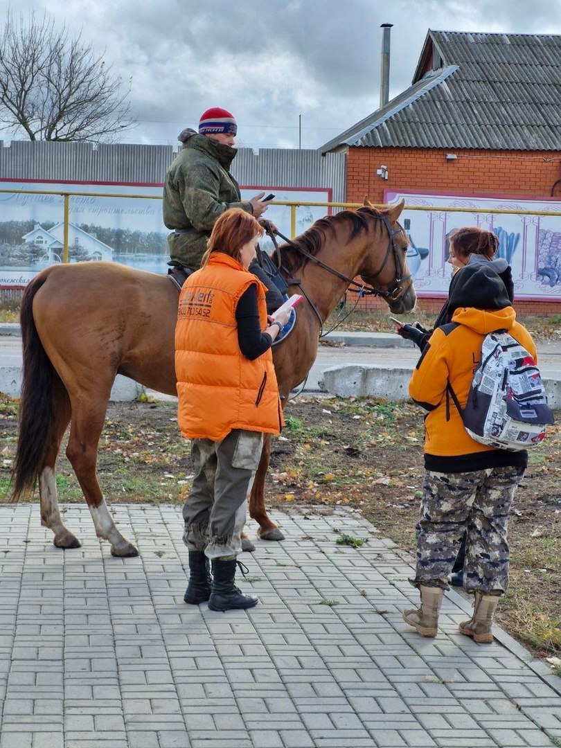 К поискам пропавшего под Воронежем студента присоединились джигиты  Конный расчёт впервые в регионе помогает искать человека. Всадники осмотрели большие территории полей и кромку леса, общая протяжённость их маршрута составила более 10 км.  Также в минувшее воскресенье более 40 человек отработали задачи по прочёсу лесопосадок, заброшенных зданий и близлежащих СНТ. Поисковикам помогали кинологи. Общее расстояние, пройденное людьми, составило 196 км.