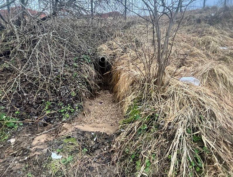 В Петрово-Дальнем на берегу Липки обнаружен незаконный коллектор   В ходе выездного мероприятия по заявлению жительницы Петрово-Дальнего специалисты Минэкологии обнаружили незарегистрированный объект: Вблизи спортивно-развлекательного комплекса находится оголовок асбестоцементной трубы диаметром 120 мм, проложенной в земле. На момент обследования сброс сточных вод не осуществлялся, однако почвенный покров, прилегающая растительность носят характерные следы сброса. Решения о предоставлении водного объекта в пользование с целью сброса сточных вод министерством не выдавались.  Предостережение о недопустимости загрязнения почв и реки Липки предъявлено администрации г.о. Красногорск.