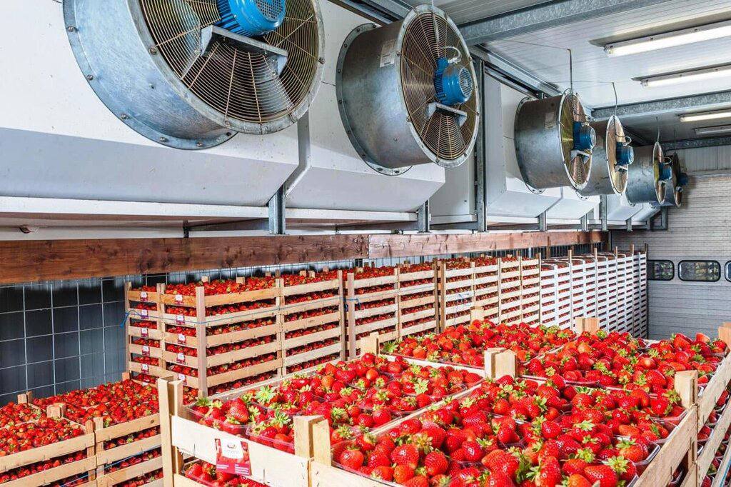 Из за любви россиян к свежей еде возник дефицит мест на складах холодильниках Перевозки и хранение термочувствительных товаров от продуктов до лекарств становятся все более востребованными Свободных складов в некоторых регионах почти не осталось а транспортировка дорожает Но сегменты fresh и e commerce будут развиваться и дальше так что логисты стараются подстроиться под спрос Проблема в том что не хватает именно современных складов да и железнодорожные вагоны устарели А ликвидировать дефицит формировавшийся годами быстро не получится