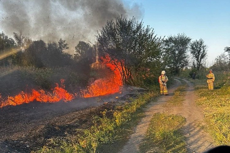 Режим ЧС из-за лесных пожаров отменили в Ростовской области    В Ростовской области сняли режим ЧС, который вводили из-за лесных пожаров. Об этом сообщили специалисты федеральной Авиалесоохраны.    Его установили 30 сентября, и это позволило привлечь больше сил для тушения пожаров 29 и 30 сентября.    Кроме того, одной из причин для ввода режима ЧС также были погодные условия. Из-за сильной жары в области образовалось много сухой травы, дождей практически не было, а порывы ветра достигали 20-30 метров в секунду.    Несмотря на отмену регионального ЧС, в Ростовской области всё же сохраняется особый противопожарный режим. А в Милютинском и Шолоховском районах действует режим ЧС муниципального уровня.       Предложи нам новость