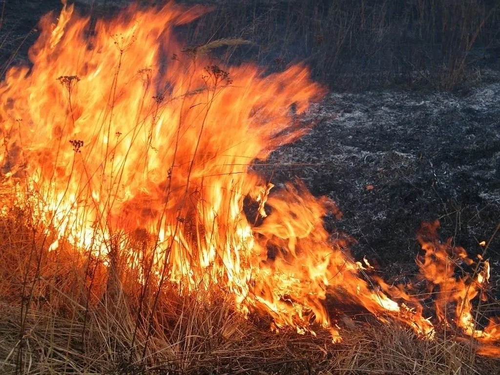 В Забайкальском крае с начала пожароопасного периода семеро несовершеннолетних подожгли сухую траву Результатом детской шалости и неосторожного обращения с огнем стали четыре очага возгорания в Черновском районе Читы а также в Читинском Карымском Петровск Забайкальском округах Сотрудники полиции убедительно просят забайкальцев объяснить детям что игры с огнем недопустимы За детские шалости будут отвечать родители Им придется не только понести наказание по закону за то что недоглядели или неправильно воспитали ребенка но и возместить причиненный в результате пожара материальный ущерб Кроме того несовершеннолетние будут поставлены на профилактический учет что в дальнейшем повлияет на их будущее За нарушение требований правил пожарной безопасности предусмотрена ответственность вплоть до лишения свободы