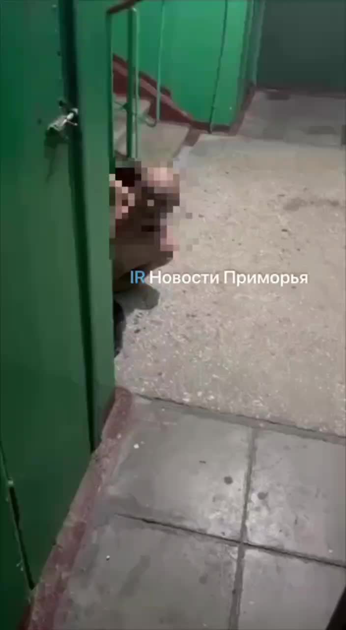 Попытка взлома квартиры во Владивостоке: задержание дебошира ожидается