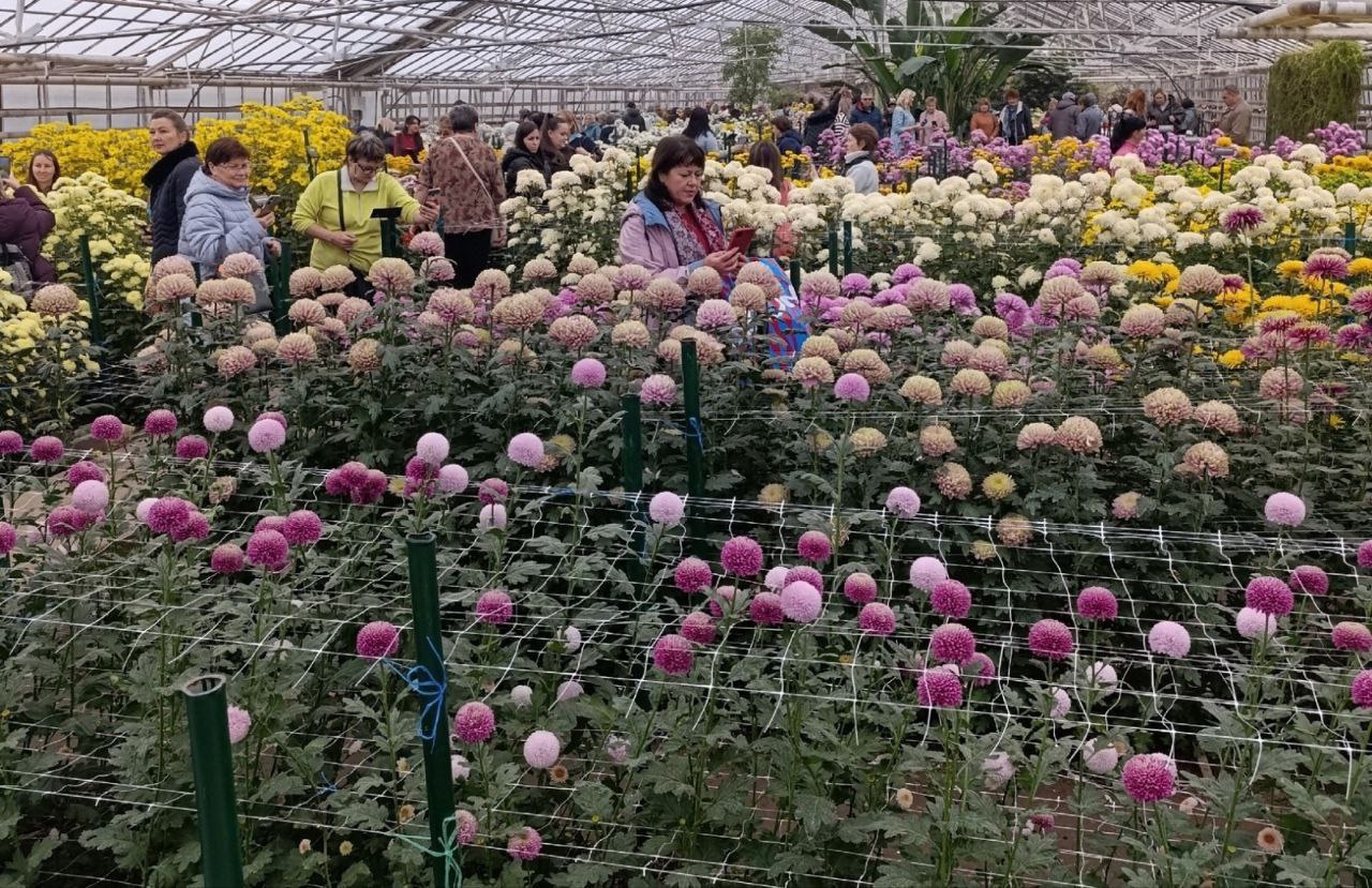Ботанический сад региона установил рекорд посещаемости в 2025 году В 2025 году региональное учреждение посетило более 43 тысяч гостей Это абсолютный максимум за всю историю существования ботсада Успех обусловлен увеличением экспозиционных площадей и проведением комплексной реконструкции теплиц Проект модернизации продлится до конца 2026 года и предусматривает ряд значительных изменений В их числе замена прозрачных покрытий в теплицах обустройство современных выставочных пространств установка автоматизированной котельной создание эффективной системы наблюдения Кроме того запланировано формирование открытых ландшафтных композиций включающих аллеи деревьев аптекарский огород специальные прогулочные зоны и детскую площадку Научная база учреждения также будет существенно улучшена позволяя проводить эксперименты по акклиматизации редких видов растений из разных регионов мира