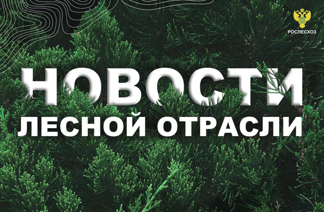 РИА Новости: На компенсацию затрат при тушении пожаров направят 1,4 миллиарда рублей ТАСС: В Бурятии ликвидировали четыре лесных пожара на площади 804 га Интерфакс: Авиалесоохрана из Марий Эл и Тюмени помогут тушить лесные пожары в Карелии Смотрим: Авиалесоохрана: в Якутию направлены дополнительные резервы для тушения пожаров Комсомольская правда: В лесах Иркутской области за сутки потушили два пожара Московский комсомолец: В Пензенской области завершили агротехнический уход за молодыми лесами