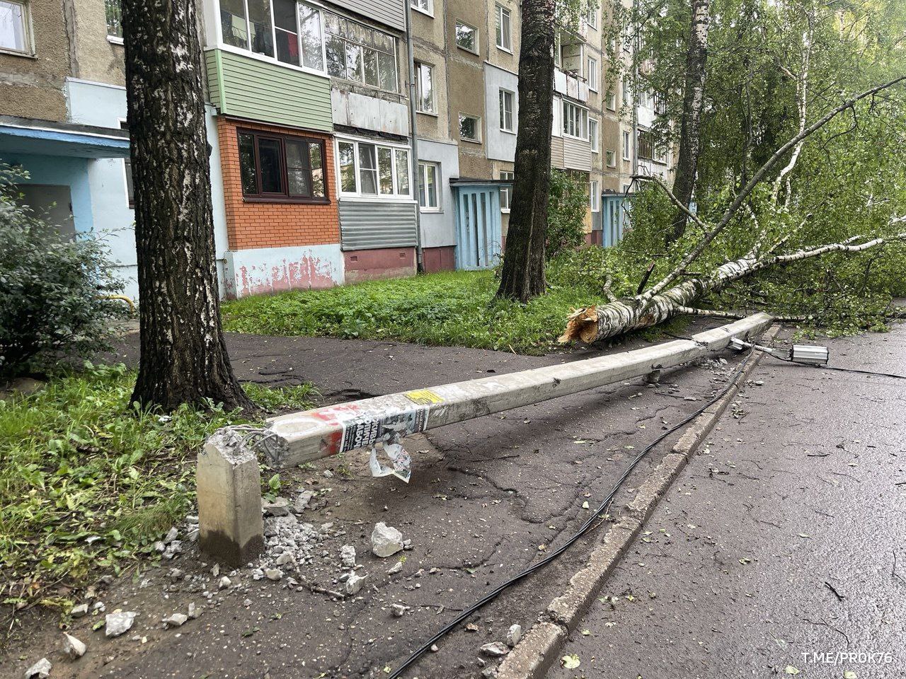 12-летний мальчик пострадал в результате урагана в Ярославле: на него упали дерево и столб. Об этом сообщили в СК по региону. Школьник госпитализирован, сейчас его жизни ничего не угрожает. Возбуждено уголовное дело о халатности.