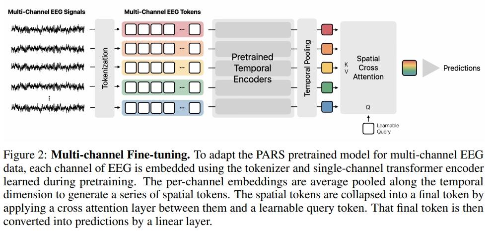 Apple учится читать мысли и это меняет всё Apple работает над технологией под кодовым названием PARS системой которая при помощи ИИ наушников например AirPods научится считывать сигналы мозга человека ЭЭГ В тестах система уже показала результаты на уровне или лучше существующих методов при помощи датчиков расположенных внутри уха PARS распознаёт ключевые паттерны мозговой активности фазы сна эпилептические сигналы эмоциональные реакции В России как сообщают эксперты к 2026 году ИИ может коснуться порядка 1 5 млн рабочих мест прежде всего за счёт автоматизации рутинных задач Готовы к переменам Дайте знать реакцией