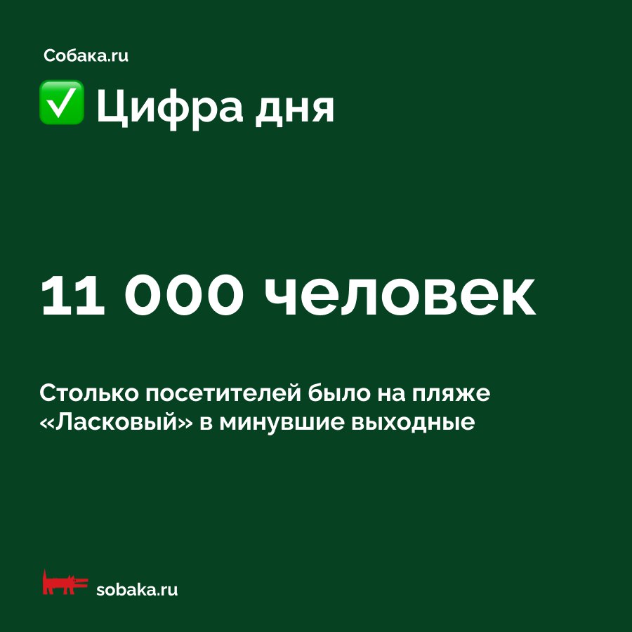 Это абсолютный рекорд посещаемости пляжа «Ласковый» на берегу Финского залива в Курортном районе Петербурга, рассказали в пресс-службе администрации района. В связи с высокой посещаемостью в выходные ГБУ «Курортный берег» работало в усиленном режиме. Также были усилены меры безопасности.