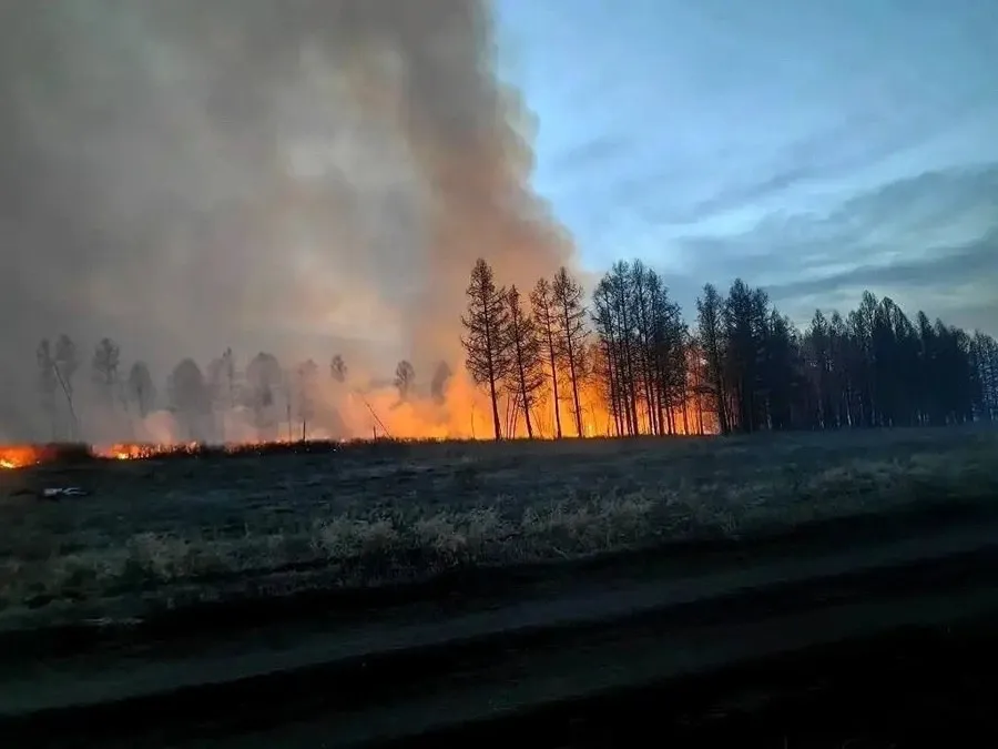 Площадь лесных пожаров в Туве за сутки выросла в полтора раза В Туве действуют восемь лесных пожаров на площади около 2 6 тыс га Сутками ранее площадь пожаров составляла 1 7 га Наибольший пожар зафиксирован в Чаданском лесничестве на площади 927 га Причина местное население Всего с начала пожароопасного сезона зарегистрировано 36 лесных пожаров на общей площади 3577 24 га Из них 34 пожара произошли на землях лесного фонда 3500 24 га 2 пожара на территории заповедника Убсунурская котловина 77 0 га Основная причина человеческий фактор 30 случаев Подписаться Прислать новость Помочь бустами