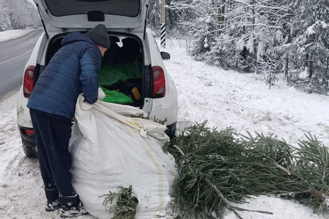 Черного елкоруба задержали сотрудники Росгвардии в Зеленогорске. В его машине нашли 84 свежеспиленных ствола.  Патрульных заинтересовали мешки, которые 30-летний мужчина складывал в свое авто. Внутри были елочки, документов на вырубку которых у задержанного не имелось.  Лесоруба доставили в отдел полиции. Сейчас устанавливается сумма нанесенного ущерба.    Росгвардия Петербурга   Дарим iPhone 16 от