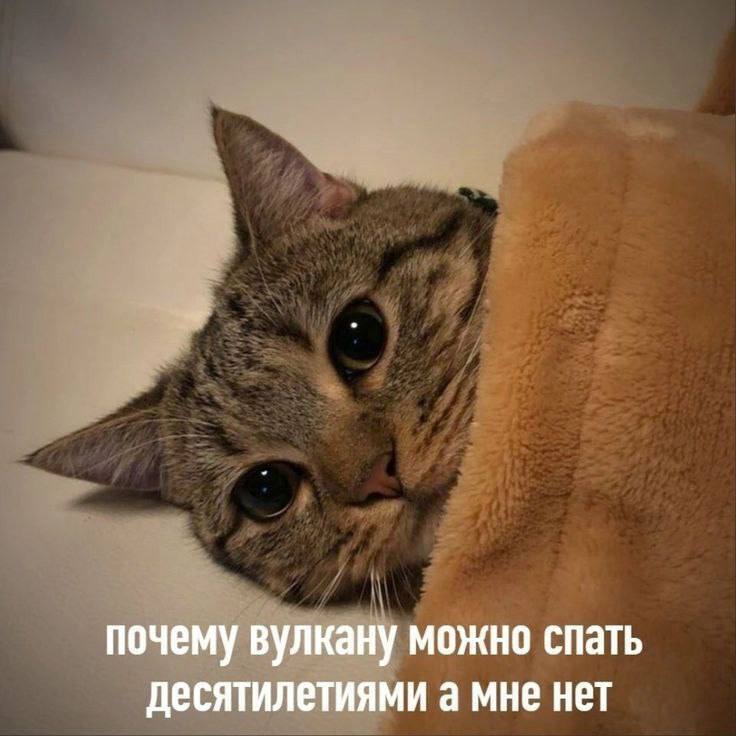 15 минут сна продлевают жизнь 15 минут дополнительного сна 1 6 минуты дополнительной физической активности и половина дополнительной порции овощей в день или на одну порцию переработанного мяса в неделю меньше снижают риск смертности на 10 Чем больше активности лучше питание и дольше сон тем показатели лучше Повод сегодня выспаться