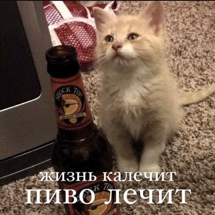 Пиво в жару опасно для здоровья, — врачи. Пенное не утоляет жажду, а только усиливает обезвоживание. Жидкое золото является сильным мочегонным, всего через несколько часов после его употребления человек испытывает усталость, вялость, головную боль и чувство жажды. Холодное пиво дает ложное ощущение прохлады, из-за чего растет риск теплового удара. Также оно повышает риск проблем с сердцем. Спасибо, но прислушиваться, конечно же, мы не будем. Приколы - Подпишись!
