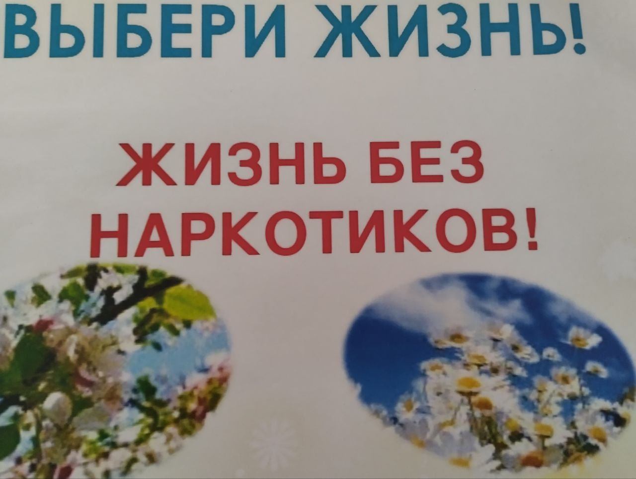 Выбери жизнь! В рамках антинаркотической акции для воспитанников ГБУ «МОЦСПРД» МТ СП ЗО был проведён тематический час под названием «Мы за жизнь без наркотиков». Это мероприятие было направлено на профилактику наркомании и пропаганду здорового образа жизни. Основной целью мероприятия было предупредить подростков об опасности употребления наркотиков и показать, как они могут пагубно сказаться на организме. В качестве примеров были приведены истории известных певцов, музыкантов и актёров, которые умерли от передозировки наркотиков. Ребята также узнали о психической и физической зависимости от наркотических средств, которая, как правило, возникает уже с первого раза. Кроме того, они обсудили правила поведения, которые помогут избежать случайного употребления наркотиков, и административную ответственность за незаконный оборот и употребление наркотических веществ.