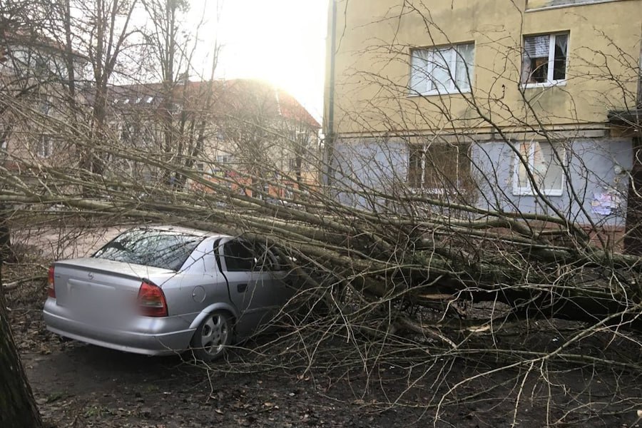 Погодой правит «Зива»: синоптики рассказали, когда ждать ослабления ветра в регионе   «Сейчас регион проходит зона холодного атмосферного фронта циклона „Зива“: в южных и восточных районах области фиксируются ливневые осадки с высокой вероятностью конвективных шквалов», — сообщают в в паблике «Погода и метеоявления в Калининградской области».  Максимальный зафиксированный порыв ветра в Храброво достиг 27 м/с, в Калининграде — 23 м/с. Полное ослабление ветра в Калининградской области ожидается в ночь на среду, 18 декабря. Вероятно продолжение падения веток, деревьев и различных конструкций, повышение уровня воды в заливах и реках, разрушающее воздействие на береговую линию.  Фото предоставлено очевидцем  ул. Зои Космодемьянской в Калининграде