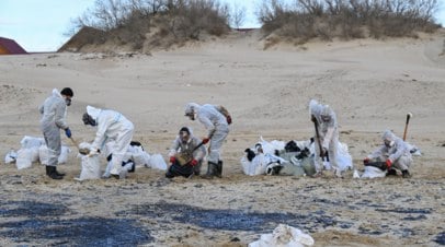 На побережье Кубани зафиксировали новые выбросы мазута   На нескольких участках черноморского побережья в Краснодарском крае зафиксировали небольшие выбросы мазута.  Читать далее