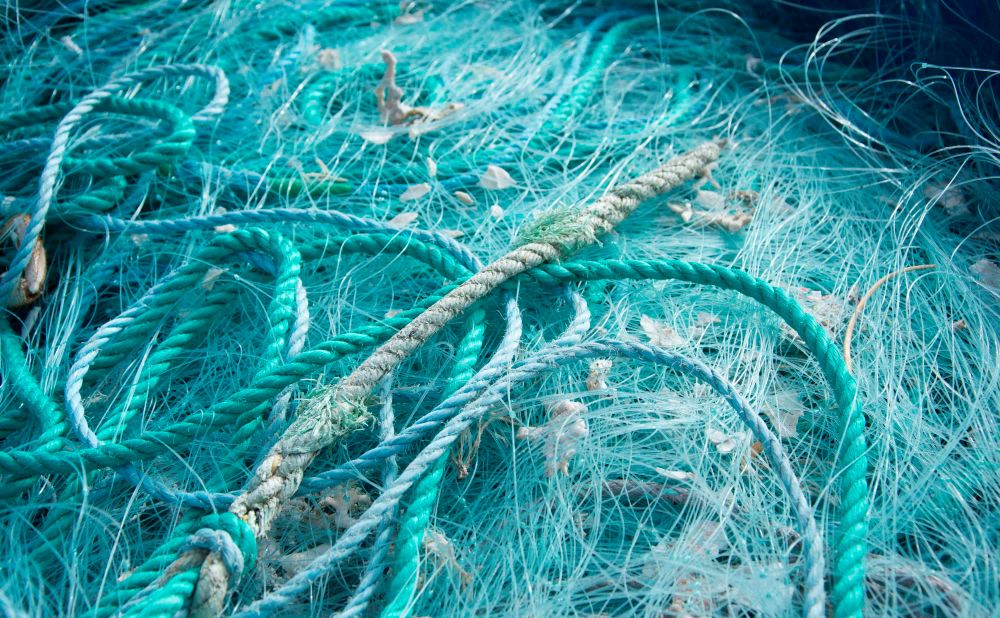 Рыбак лишился пальцев в результате травмы на производстве После вмешательства прокуратуры работодатель выплатит ему компенсацию морального вреда Несчастный случай с бригадиром прибрежного лова произошёл июне 2024 года при постановке невода в ООО Скит Вследствие небезопасной организации труда и несовершенства технологического процесса 48 летний мужчина получил травму руки приведшую к ампутации пальцев рассказали ИА Камчатское время в прокуратуре Подробности по ссылке   kamtime ru article d62e6d86 eb5c 4d1a 9bfd 2a221a442004