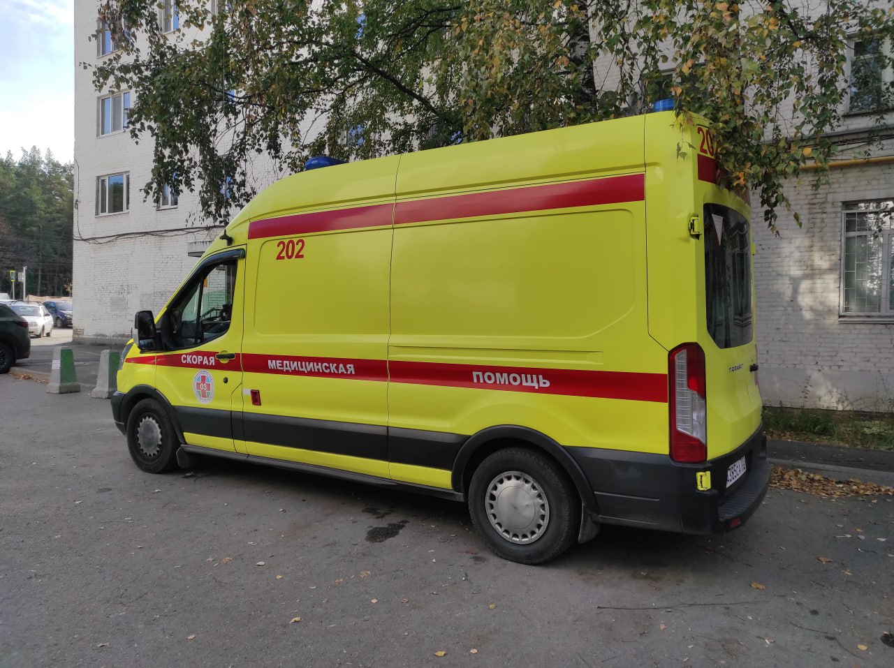 В Уфе мужчина упал с десятиметрового дерева, пытаясь спасти кошку  Случай произошел ночью 29 июля на улице 50-летия Октября. Как сообщили в Управлении гражданской защиты, 35-летний уфимец взобрался на дерево за кошкой. На высоте 10 метров мужчина не удержался и упал. Его на «скорой» доставили в больницу.