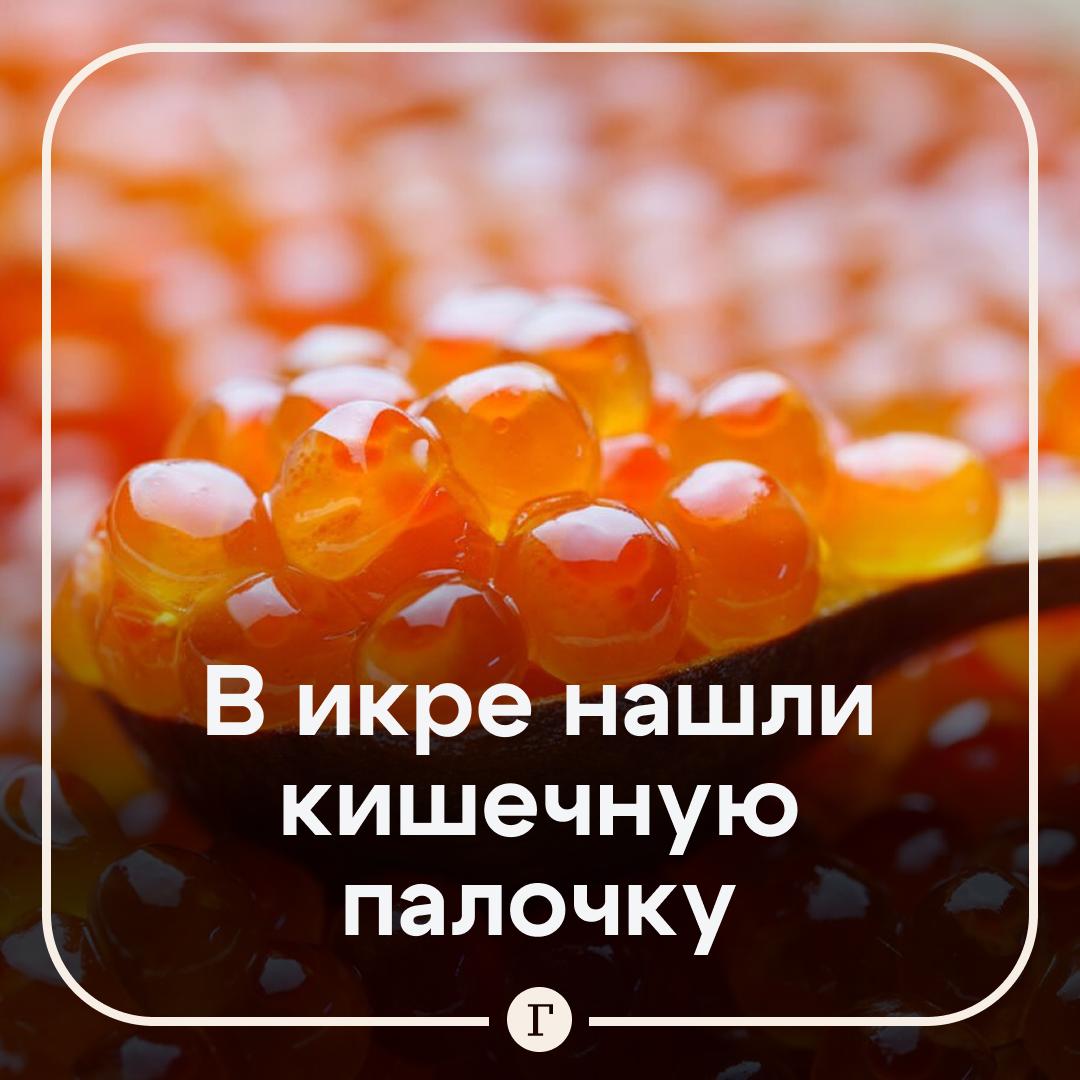 Роскачество выявило кишечную палочку в икре пяти торговых марок Нарушения зафиксированы в икре марок Московский рыбокомбинат Русское Море Красное золото Деликатеска Красная икра Также у продукции МорМер и Горчаков выявлено превышение общей бактериальной обсемененности а у икры Москва на волне превышение норм по содержанию дрожжей Роскачество также отметило вкусовые отклонения в отдельных образцах и несоответствие нормам по содержанию соли у икры Деликатеска и 365 дней а в 12 образцах превышение допустимого уровня джуса Кроме того икра марки Авача заявленная как икра горбуши по ДНК тесту оказалась икрой кеты   Читайте Газету Ru в MAX