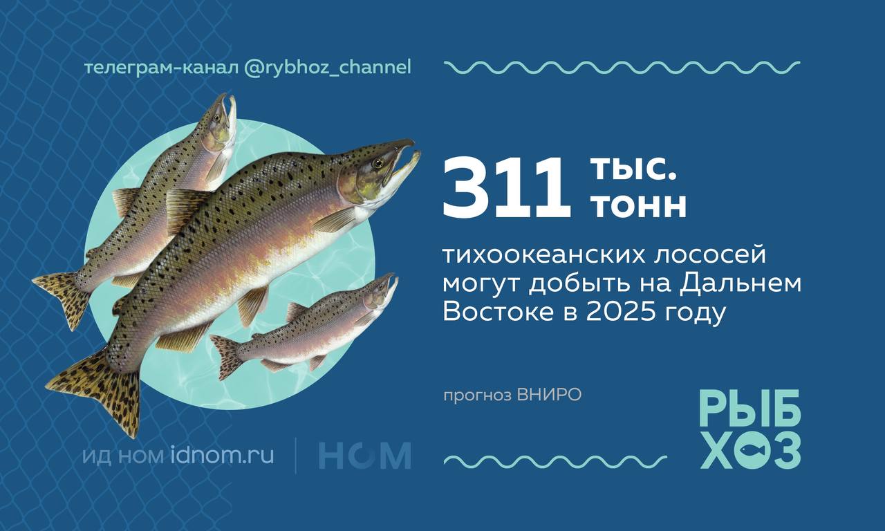 ВНИРО дал крайне скромный прогноз по лососевой путине-2025 – в "нечетный" год, когда традиционно лососей вылавливают больше, на Дальнем Востоке предполагается добыть около 311 тыс. тонн. Для сравнение в "нечетных" 2023-м и 2021-м было выловлено 609 и 539 тыс. тонн тихоокеанских лососей соответственно.   Ощущение, что ВНИРО сильнее прежних годов занижает цифры после очевидного провала по прогнозированию путины-2024, ставшей худшей за 20 лет. Чтоб наверняка быть уверенным, что рыбаки преодолеют планку.