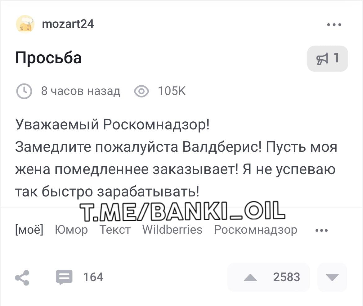 Российские мужчины призвали РКН замедлить Wildberries, потому что не успевают зарабатывать на новые заказы своих жён.