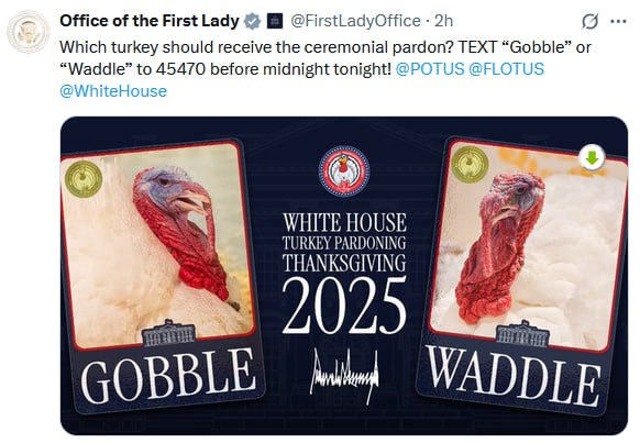 В США выбирают индейку которую Трамп помилует на День Благодарения Офис Мелании в X предлагает проголосовать за Курлыка или Вихлюна Выживет только один Подписаться на РИА Новости