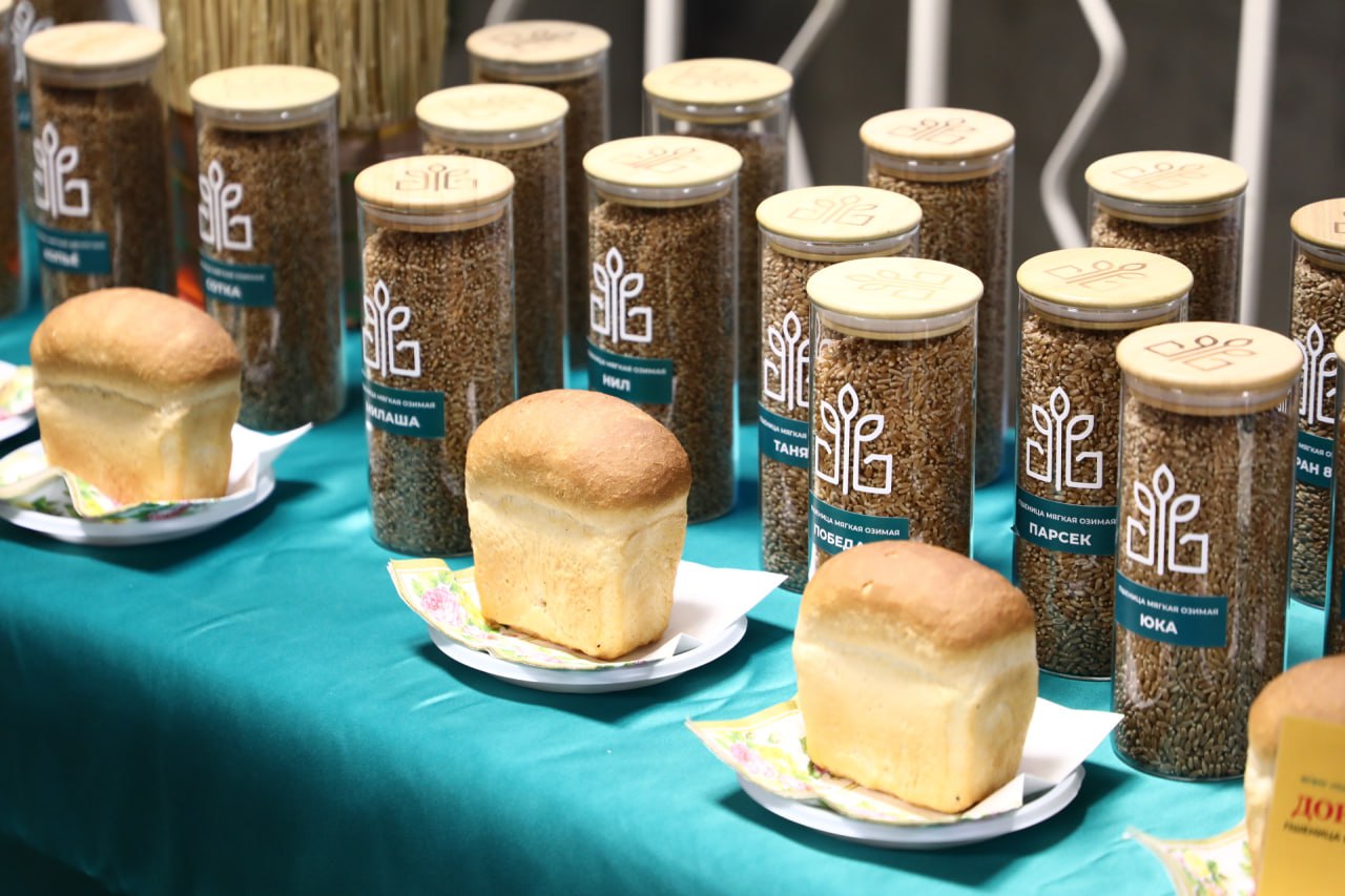 Вениамин Кондратьев Важно использовать высококачественные семена кубанской селекции Внедрение отечественных сортов и особенности посевной кампании в 2026 году обсудили на совещании которое провел глава региона Президент России поставил задачу к 2030 году достичь уровня обеспеченности отечественными семенами ключевых сельхозкультур до 75 процентов Это необходимо для продовольственной безопасности страны Важно не теряя времени поэтапно выполнять данное поручение при этом у нас есть возможность использовать высококачественные семена кубанской селекции Сегодня все поля региона засеивают кубанской пшеницей это настоящая гордость России Теперь необходимо увеличивать долю использования наших семян и по остальным культурам кукурузе подсолнечнику сое сахарной свекле сказал Вениамин Кондратьев Читайте нас в MAX