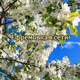 Ефремовка в сети 🍒
