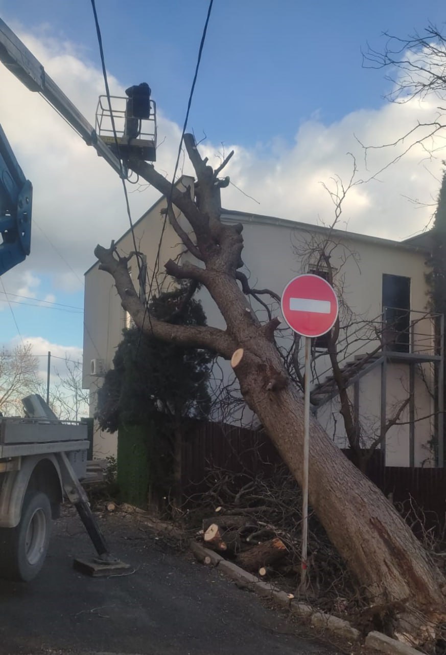 В Ялте устраняют последствия непогоды  Коммунальщики освобождают электропровода от сломанных ветвей и убирают поваленные деревья, сообщила глава администрации города Янина Павленко.  Также из-за сильного ветра отломались верхушки новогодних ёлок на набережной Ялты. Если погода улучшится, завтра специалисты начнут восстанавливать конструкции.  Фото: Telegram-канал Янины Павленко  Крым 24