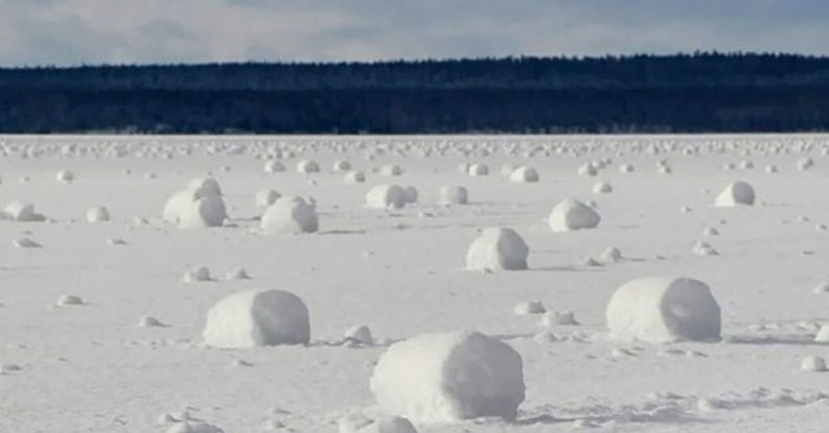На Камчатке появились снежные роллы На территории вблизи аэропорта Оссора Камчатский край произошло редкое атмосферное явление которое назвали снежными роллами Для его возникновения требуется уникальное сочетание нескольких метеорологических факторов тонкий слой мокрого но не липкого снега скорость ветра позволяющая толкать куски снега температура воздуха около нуля и температура поверхности снега немного выше Снежные роллы могут достигать диаметра до нескольких десятков сантиметров и формируются когда сильный ветер отрывает кусок снежного пласта и катит его по склону наслаивая снег подобно тому как скручивается ковер Ученые используют такие явления для изучения местной метеорологии и климатических особенностей Камчатка