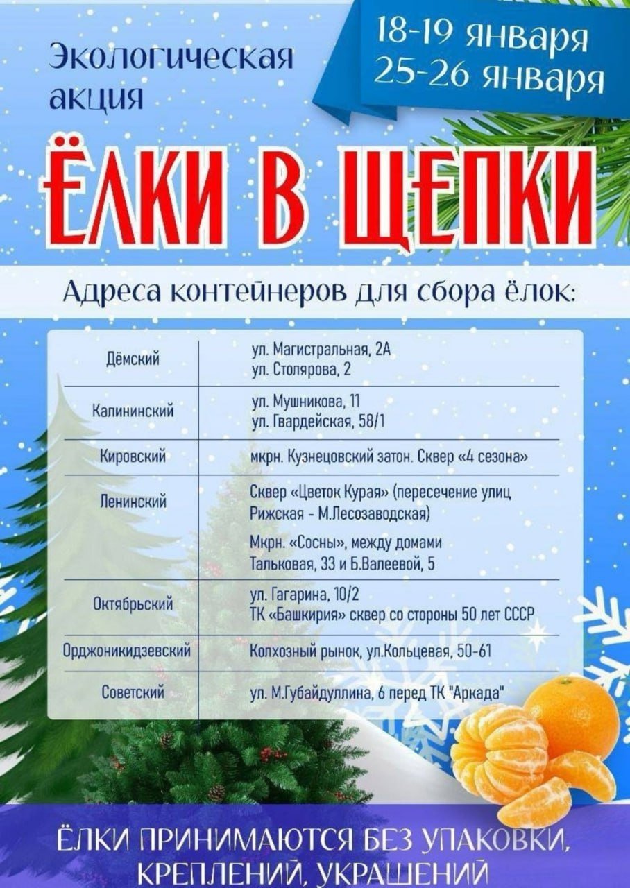 В Уфе пройдет ежегодная экологическая акция «Ёлки в щепки» - Башинформ  Прием хвойных деревьев будет организован 18, 19, 25 и 26 января. В рамках акции во всех районах города будут установлены специальные контейнеры, куда можно положить ёлки, пихты и сосны для дальнейшей переработки.   Деревья принимаются без крестовин, креплений, упаковки и украшений.   18 и 19 января с 12 до 16 часов на всех площадках за сданное новогоднее дерево можно получить мандарин.   Моя Уфа. Подписаться   Прислать новость