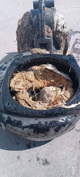 Кусок ткани размером с овчарку оставил без воды жителей дома на Ветеранов Подачу холодной и горячей воды в доме 171-5 по проспекту Ветеранов на днях полностью отключали в связи с серьезным засором на канализационной насосной станции, сообщает пресс-служба «Водоканала Петербурга» 25 июня. Причиной засора оказался гигантский комок ткани, который, по словам очевидцев, был размером с «овчарку». Фрагмент текстиля удалили, сейчас подача воды осуществляется в штатном режиме. В «Водоканале Петербурга» напомнили горожанам, что в унитаз категорически нельзя смывать тряпки, влажные салфетки, средства гигиены, остатки еды, жир, строительный мусор и многое другое. Фото: Пресс-служба ГУП «Водоканал Санкт-Петербурга»