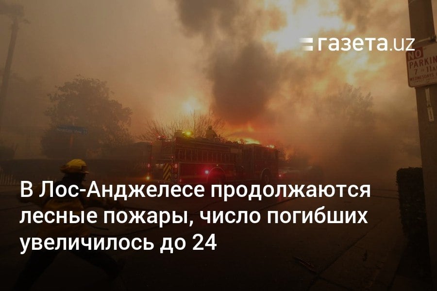 Масштабные лесные пожары бушуют в окрестностях Лос-Анджелеса уже шестой день. Число погибших в результате стихийного бедствия выросло до 24 человек, уничтожены или повреждены свыше 12 тысяч строений, включая жилые дома, школы и церкви.     Telegram     Instagram     YouTube