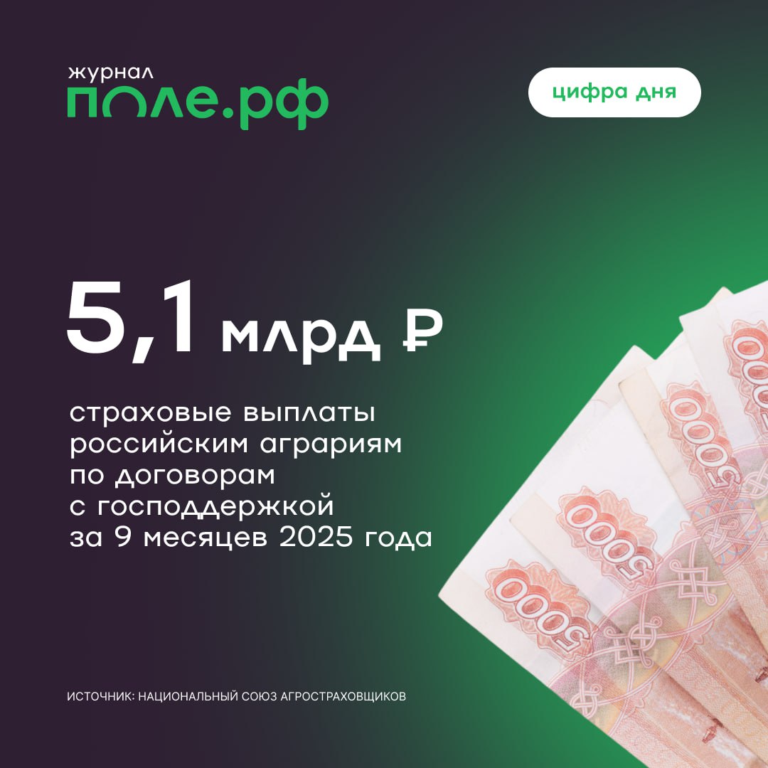 Страховые выплаты по договорам с господдержкой выросли на 93 в январе сентябре 2025 года Большую часть средств получили растениеводы за гибель сельхозкультур почти 4 млрд рублей Всего же по итогам года Национальный союз агростраховщиков прогнозирует уровень выплат сопоставимый или даже превышающий показатель 2024 года Тогда аграрии получили рекордные 8 8 млрд рублей Подробнее цифрадня pole journal