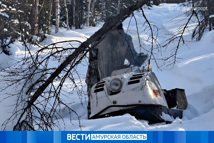 Четверть маршрута зимнего учета птиц и зверей преодолели охотоведы области  За полмесяца специалисты уже прошли 970 километров. В отдельных заказниках учет завершён, об этом сообщает дирекция по охране животного мира. Высокий снежный покров создает значительные трудности как охотоведам, так и животным. Однако работы ведутся без задержек. В Верхне-Депской охранной зоне по предварительным данным увеличилось количество лосей. Там чаще встречаются самки с детенышами, отмечают специалисты. Также во время учетов замечено большое число косуль.    Перейти на сайт