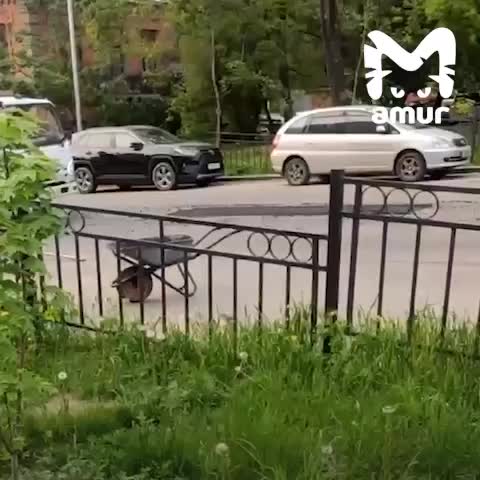Грузовик укатывает асфальт на улице Дзержинского в Хабаровске